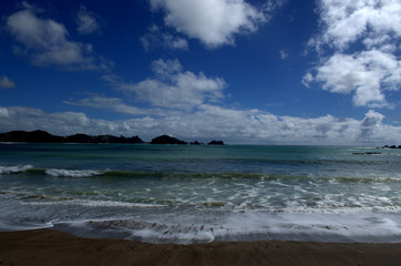 Wild and virgin beach at the north island of New Zealand