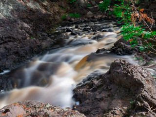 stream in the forest