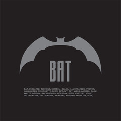 Illustration of a bat. Vector illustration.