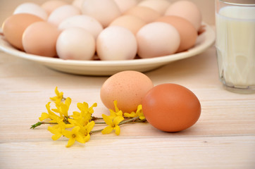 eggs on a wooden background and twigs and a glass of milk and a plate with eggs in the background