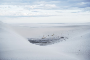 Obraz premium Branches in white dunes