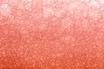 Scientific image of cell membrane. Macro up of liquid substances. Abstract molecule atom sctructure. Water bubbles. Macro shot of air or molecule. Biology, physics or chemistry abstract background 
