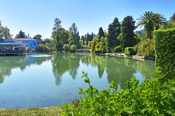 Fototapeta premium New Athos, Abkhazia. Beautiful pond in summer in sunny day