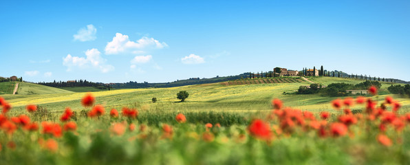 Beautiful Landscape with Poppies Flowers. Italy Tuscany