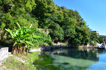Obraz premium New Athos, Abkhazia. Beautiful pond in summer in sunny day