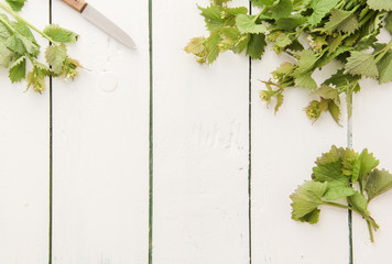 Knoblauchsrauke Rauke Wildkräuter Wild Kräuter Salat sammeln ernte Hintergrund