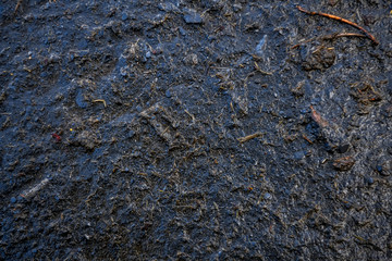 Texture