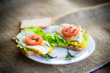 fried toasts with egg, salad, tomato in a plate