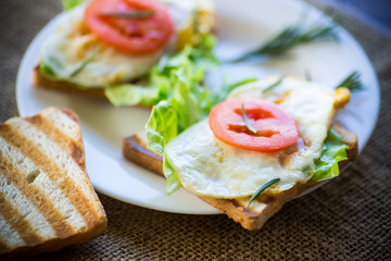 fried toasts with egg, salad, tomato in a plate