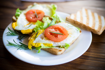 fried toasts with egg, salad, tomato in a plate