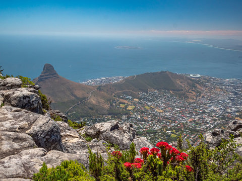 Top View From Table Mountain To Cape Town City And Surrounding Nature