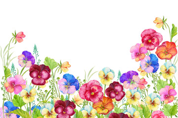 Flowers Pansies Watercolor Illustration For Postcard Design - 340354761