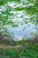 nature in Arnhem, Netherlands