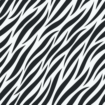 Zebra pattern animal print black and white