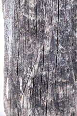 Obraz premium Texture
