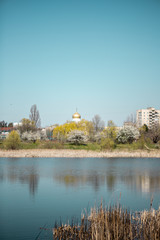 Gold colored reeds near the blue lake in a town area with buildings on background
