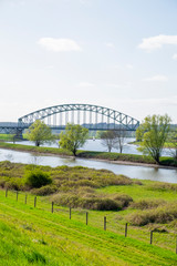 Obraz premium nature in Arnhem, Netherlands