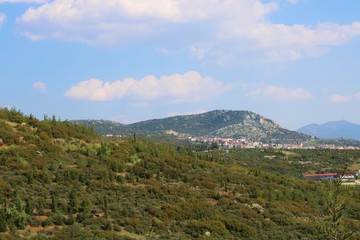 Fototapeta na wymiar Green mountain side with trees and cloudy blue sunny sky