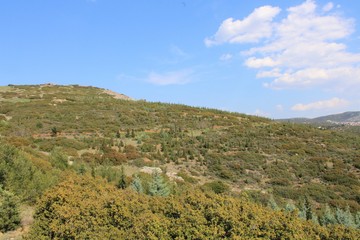 Obraz premium Green mountain side with trees and cloudy blue sunny sky