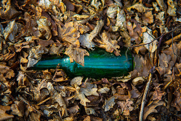 glass bottle among the leaves