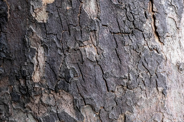 Texture