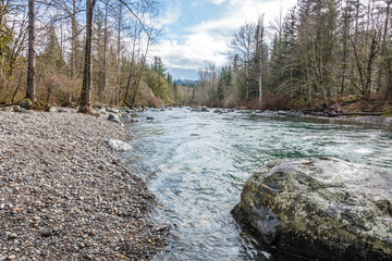 Northwest River Landscape