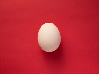 White close up egg isolated on red paper background. Minimalism concept. Top view.