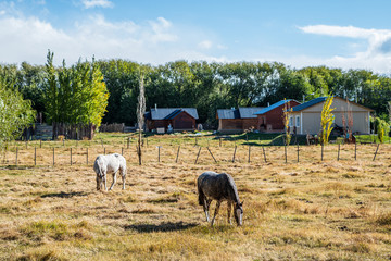 Obraz premium El Calafate