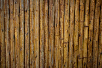 Textura de bambú