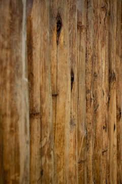 Textura de madeira © Jansen