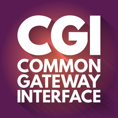 CGI - Common Gateway Interface acronym, technology concept background