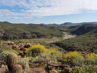 Fototapeta na wymiar Touring the scenic Arizona Desert and Cacti