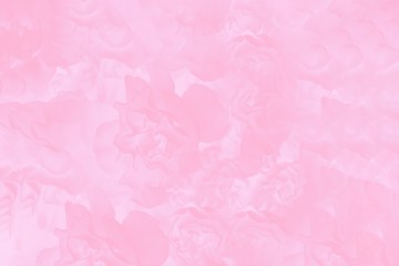 Fototapeta na wymiar Pale pink abstract background. Floral gradient background, delicate flowers