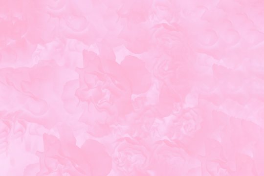 Pale pink abstract background. Floral gradient background, delicate flowers