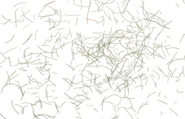 Dry cut green grass leaves isolated on white background, organic texture, top view