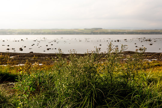 Low tide landscape on St-Lawrence river, Quebec