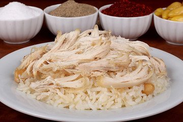 excellent turkish food, chicken on rice plate