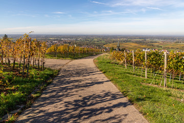 Varnhalt vineyard with village in background