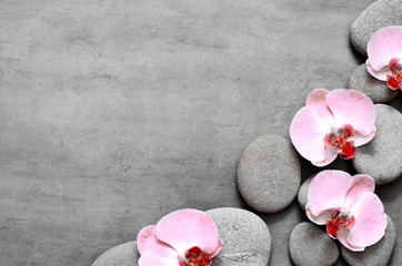 Fototapeta na wymiar Spa stones and pink orchid on grey background.