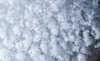 close up frost on grass in winter season,frost background,frost on the ground,Ice crystals