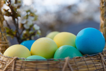 Fototapeta na wymiar painted eggs in a basket against the sky