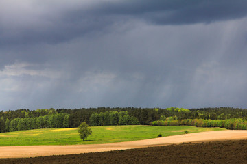 pola i las na tle nieba