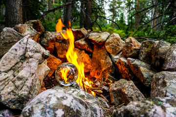 firewood in the forest