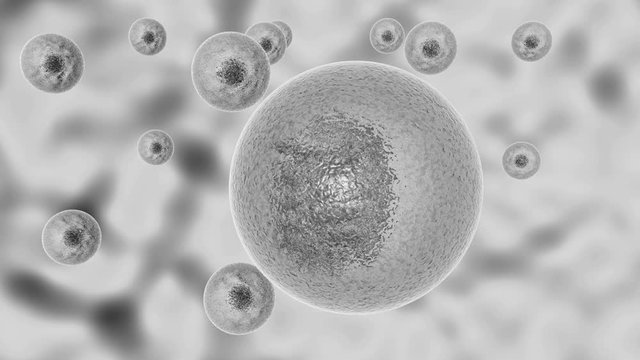 3D animation of process infecting living cell with coronavirus. COVID-19 makes copies inside the living cell then leaves the human cell causes apoptosis.