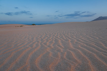 Ripples on sand dune near Corralejo with volcano mountains in the background, Fuerteventura, Canary Islands, Spain. October 2019