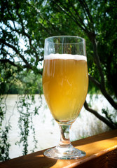 Glass of beer