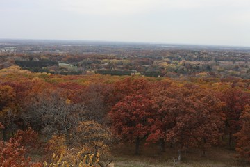 Fototapeta premium autumn in the forest, FALL DAY, COLORS, SEASON, ORANGE, RED, GREEN YELLOW, 
