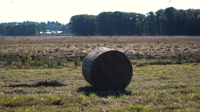 Haystack agriculture field landscape.Cereal production,large circles of hay.