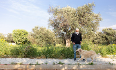 Obraz premium senior man in mask with his pet dog on street because of air pollution and epidemic in city. Protection against virus, infection