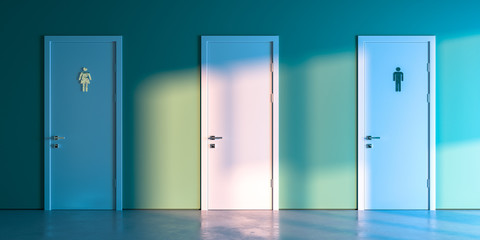 White Doors With Gender Signs, Restroom Entrance In Green Walls. 3d rendering